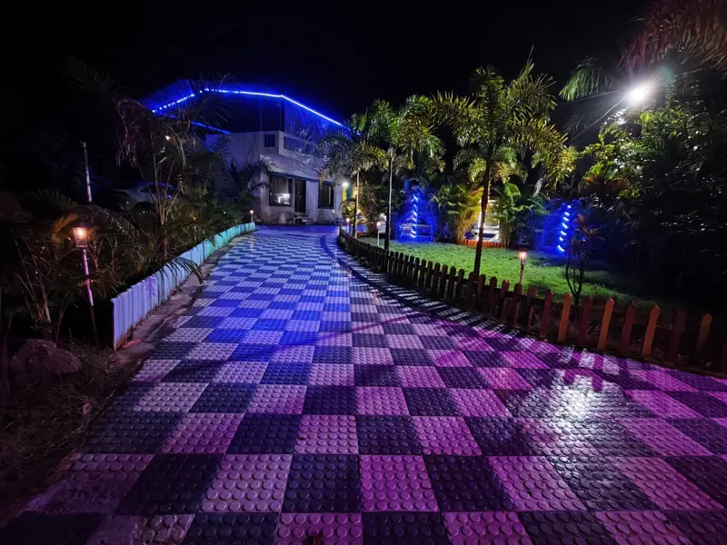 The checkered path and palms lit blue and violet at night